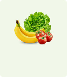 Diet Nutrition